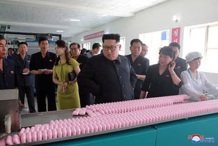 金正恩視察朝中接壤地區(qū) 參觀化妝品廠凸顯經(jīng)濟(jì)多元化戰(zhàn)略